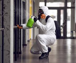 Best Mold Remediation for Healthcare Facilities  in Cologne, MN